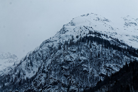 冬季风景树木山地天空和云层都布满了新鲜的雪意大利图片