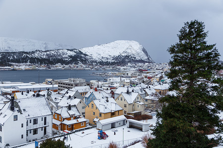Alesund镇从冬季风景的视野来看图片