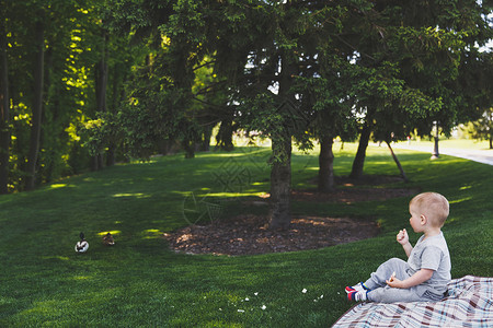 可爱的小男孩在公园的绿草坪上喂野鸭与孩子们在户外积极休闲家庭夏日户外图片