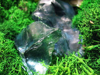 绿色苔榈植物自然是蓝色碎片玻璃图片