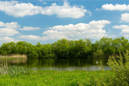 美丽的春天风景与小池塘欧洲图片