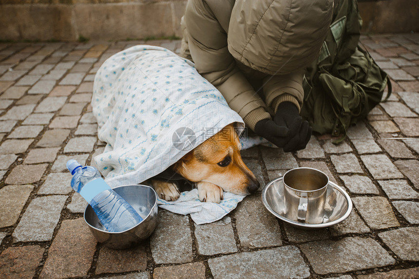 社会主题布拉格城里一个乞丐带着一条裹着毯子的狗乞求帮助是冬天的寒冷空的职位和瓶子图片