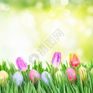 复活节鸡蛋在草地上花园背图片