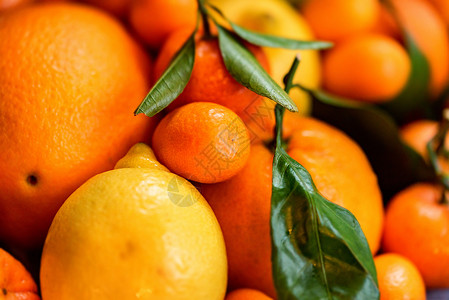 关闭各种柑橘水果图片