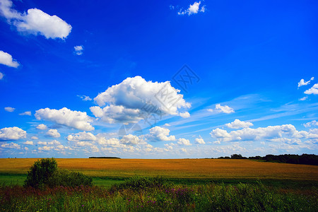 麦田上空的云夏季景观图片