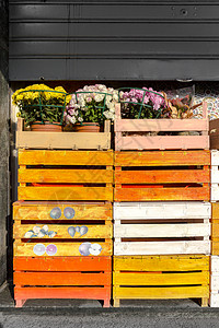 彩色木箱上面有花店的鲜花滚动百叶图片