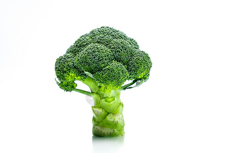 绿色西兰花Brassicaoleracea蔬菜胡萝卜素维生素C维生素K纤维食品叶酸的天然来源新鲜的西兰花卷心菜隔离在白色背背景图片