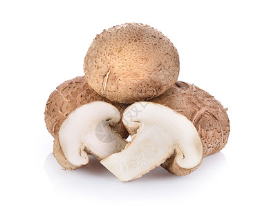 白色背景上的香菇图片