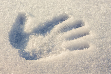 白色的手印有蓝色的雪花和阳图片