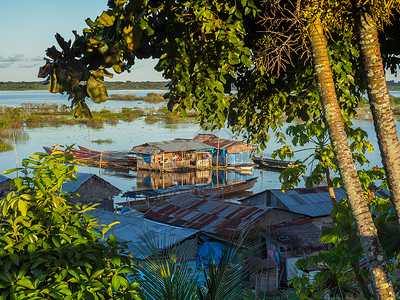 亚马逊河洪泛平原上的房屋图片