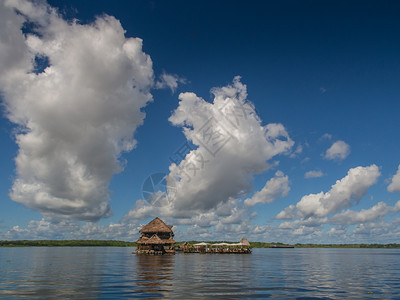 2016年5月16日亚马逊河中图片