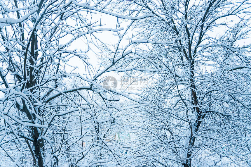 莫斯科冬天雪覆盖了城市的树木在大雪过图片