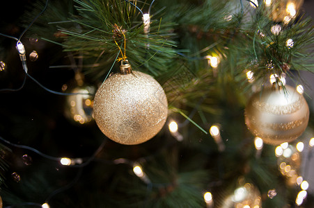 圣诞树装饰十二月假期图片