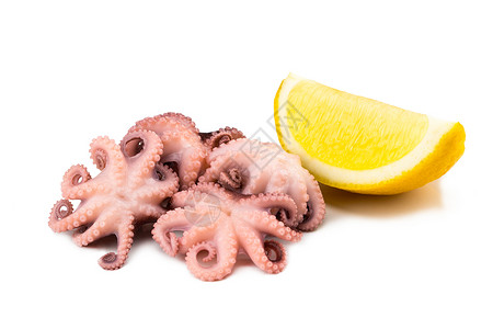 在白色背景上用柠檬腌制的小章鱼图片