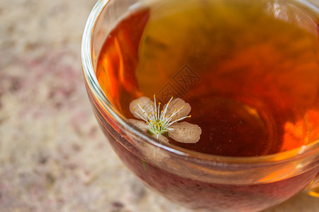 一棵开花的樱桃树的茶和树枝图片