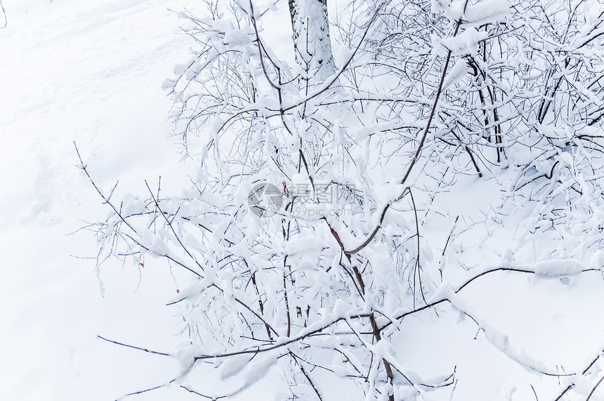 冬天雪覆盖了城市的树木在大雪降下图片