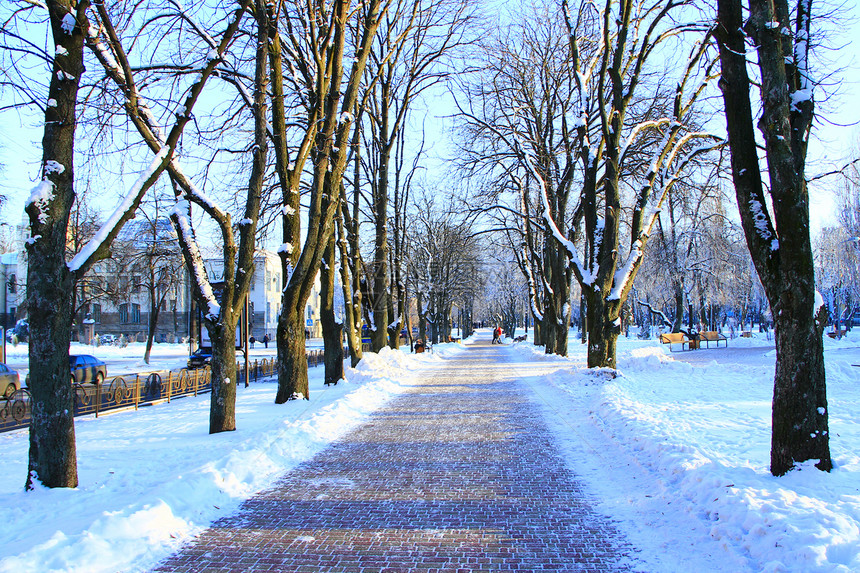冬季美丽的公园有很图片