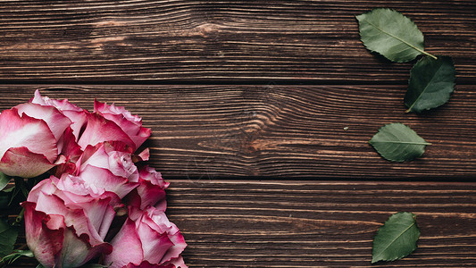 美丽的粉红玫瑰和木板上绿色叶子情人卡背景图片