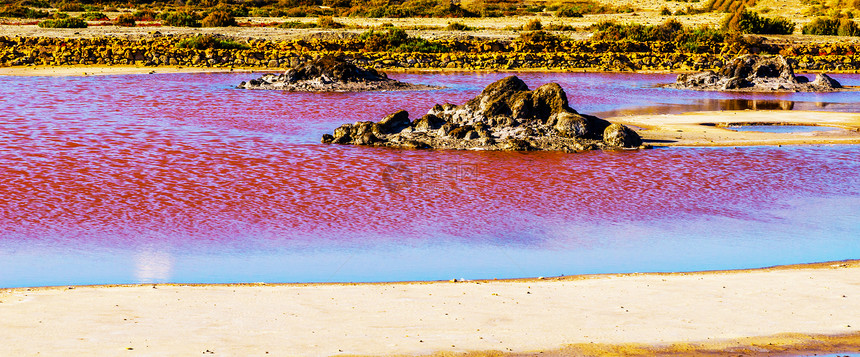 西班牙的粉红湖异乎寻常的现象矿物对水的图片