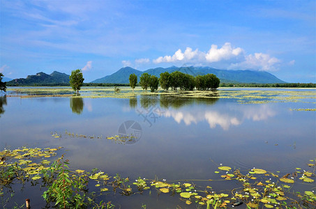 汛期湄公河三角洲图片