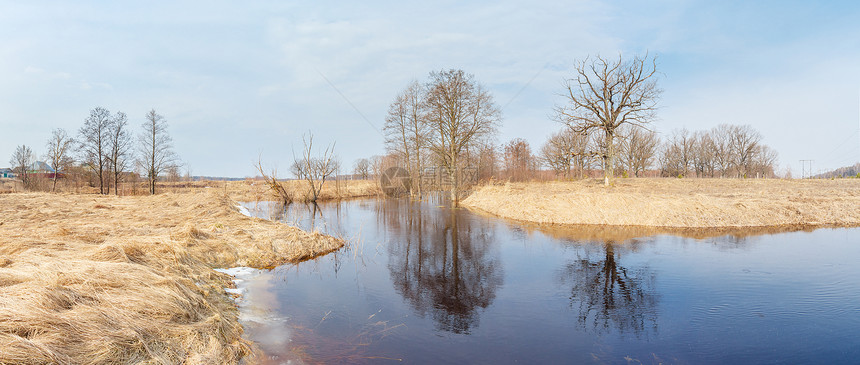 春天树木被淹的河流图片