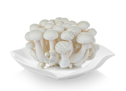 白蘑菇Shimeji蘑菇白底盘子图片