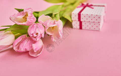 带有粉红色郁金香和粉红色背景的礼品盒图片