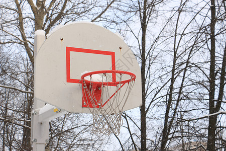 暴风雪期间的篮球图片