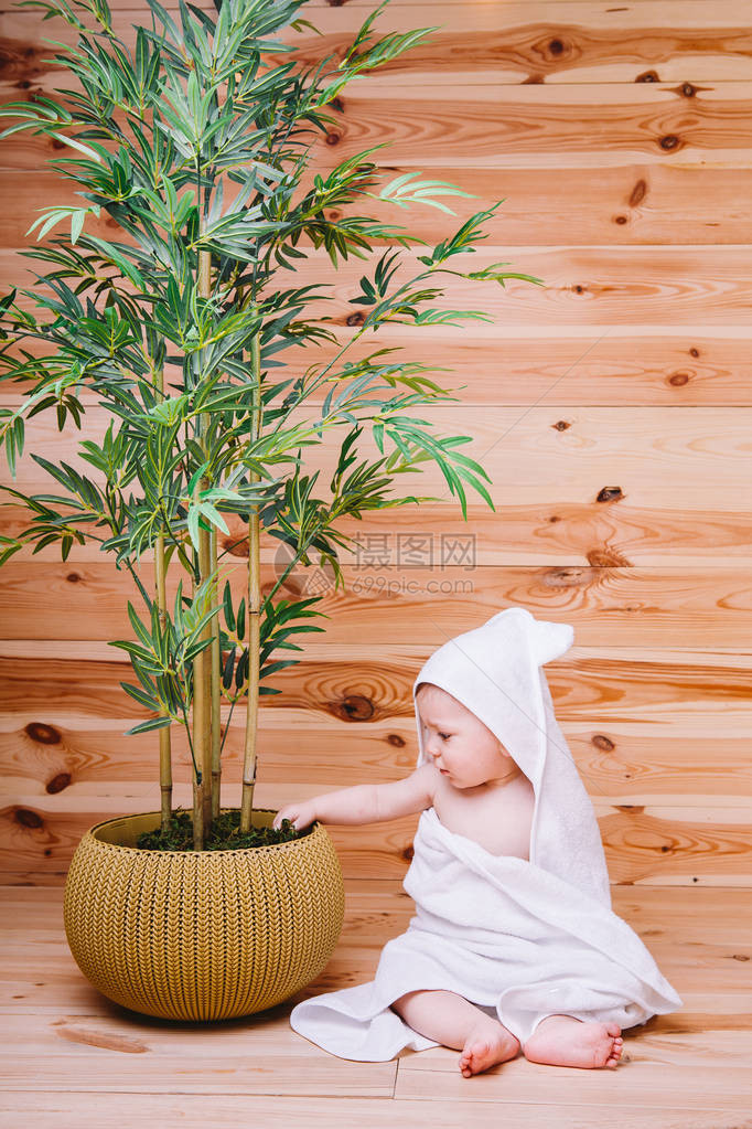 婴儿被包在白毛巾上耳朵坐在罐子竹图片