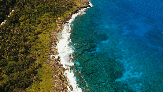 热带岛屿锡亚高岛的海岸线与热带雨林在海洋的背景下与大浪图片