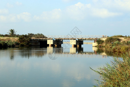 桥是架在河上的人造结图片