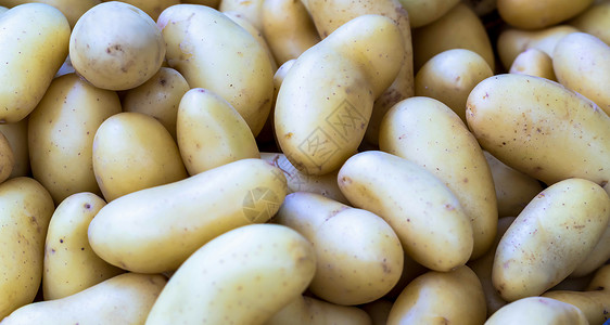 新鲜的有机土豆站在市场上马铃薯根堆在城市场上萨尔图片