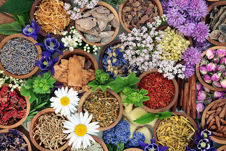 草药和花卉用于和天然替代疗法图片