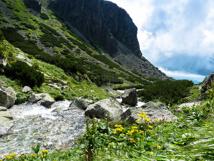 斯洛伐克Tatras高山的溪流在阳图片