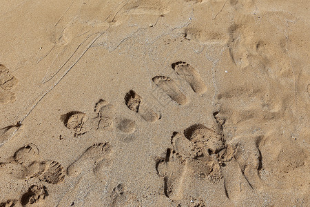 地中海岸沙滩上的脚足背景图片
