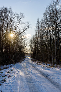 冬季农村地区雪图片