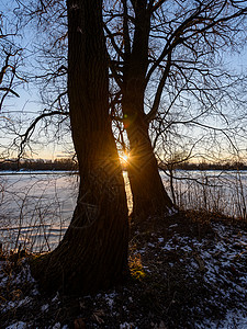 寒冷的河流冰面上有光线从树图片
