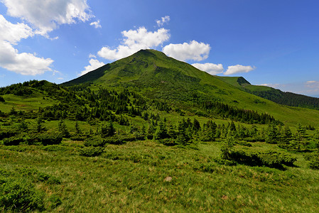 乌克兰喀尔巴阡山脉Chornohora地区Petros山202图片