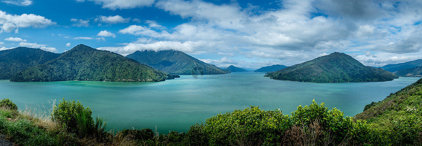 新西兰皮克顿夏洛特皇后湾全景图片