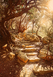 塞浦路斯阿瓦卡斯峡谷奇特的自然神秘景观图片