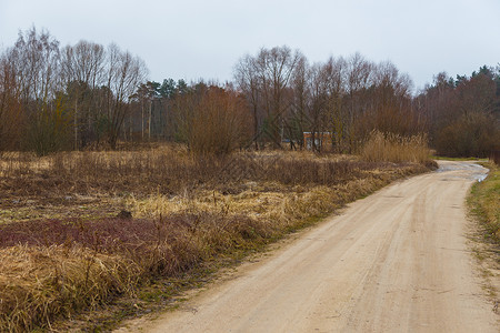清空的冬天的田野道路图片