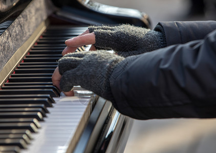 钢琴家在冬天在图片