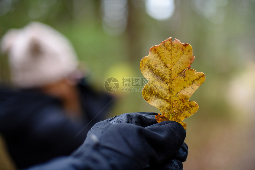 秋天在森林中享受大自然图片