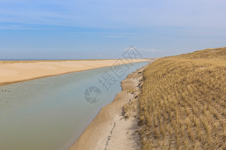 荷兰北海沿岸的生态友好型堤坝沿荷图片