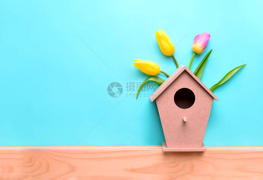 春季概念背景鸟屋装饰有郁金香的鸟屋构图片