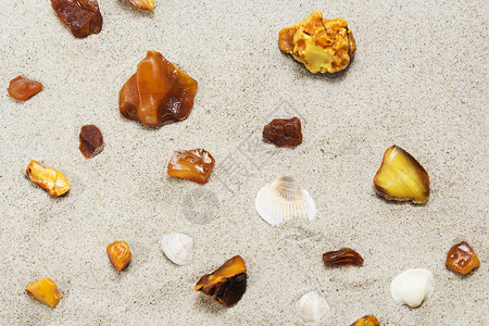 奇峰异石沙滩上的琥珀和贝壳碎片背景