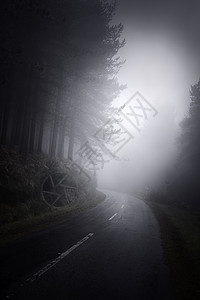 黑雾山林道图片