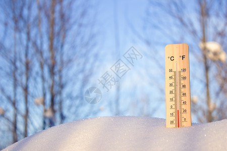 雪中的温度计在天空和树的背面图片