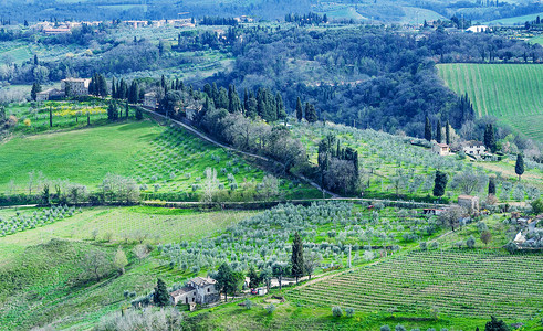 意大利托斯卡纳春季地区乡间绝图片