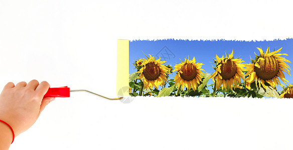 在白墙上画花向日葵的风景的图片